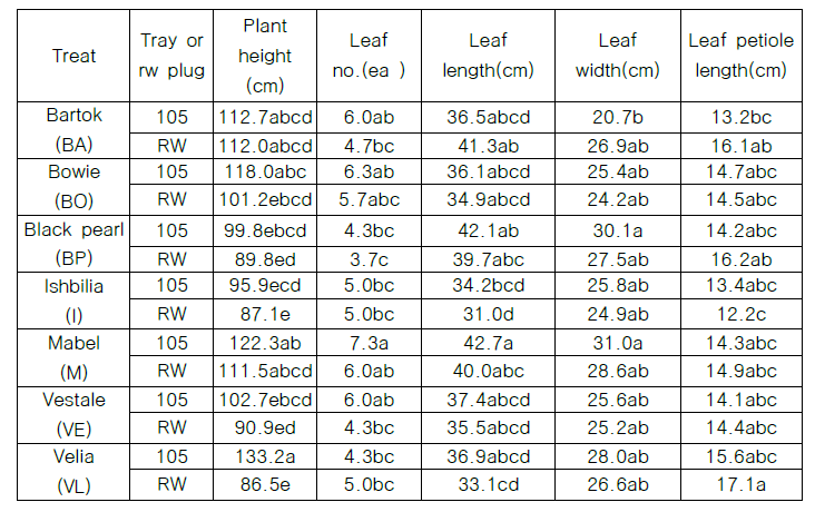 10/16일(41DAT) 품종 별 가지의 생육 특성(n=3)