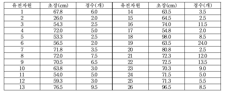 UAE 유사환경 인공기상동(조명실 6번)에서 벼 적응자원 생육