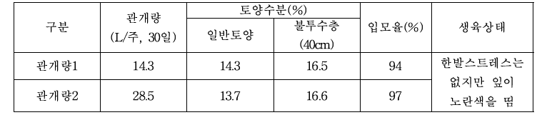 관개처리별 관개벼 입모율 및 생육상태