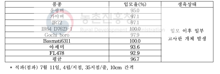 간척지 하우스 직파벼 품종별 입모율 및 생육상태