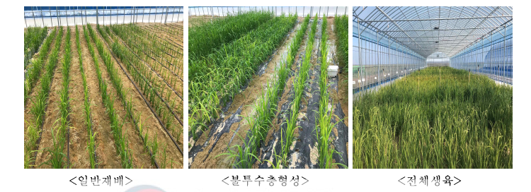 관개방법별 용수량 비교