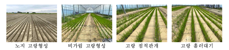 고랑형성 사진