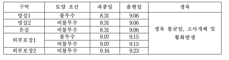 UAE대학 포장 벼 파종일 및 출현일(2020. 9)