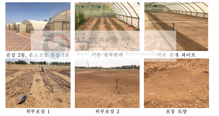 온실 및 포장 기반조성 시설 및 토양 상태(10월 초순)