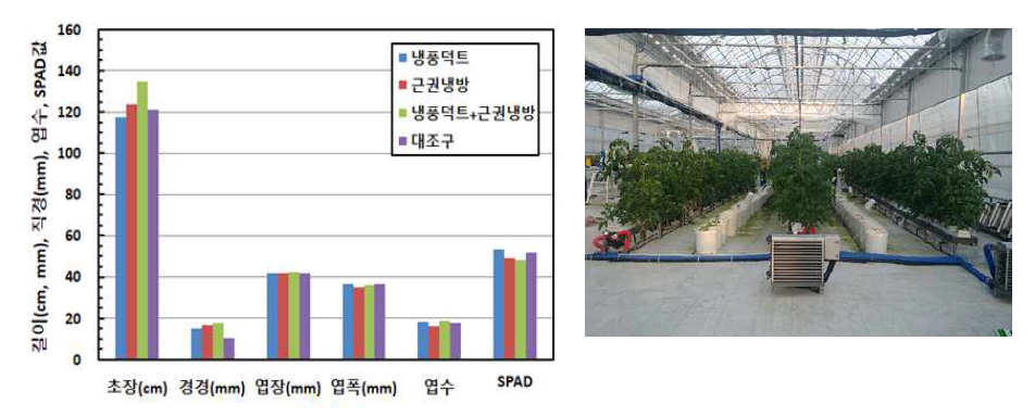 토마토 재배온실 대상 냉방패키지 생육조사