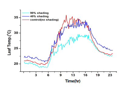 Comparison of leaf temperature according to mobile shading rate in greenhouse. (August 9th)