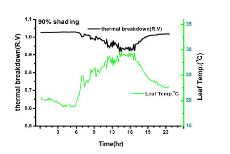 Relationship between leaf temperature and thermal breakdown at 90% shading. (August 9th)