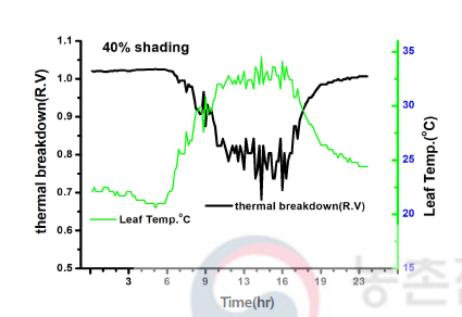 Relationship between leaf temperature and thermal breakdown at 40% shading. (August 9th)