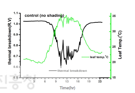 Relationship between leaf temperature and thermal breakdown at no shading. (August 9th)