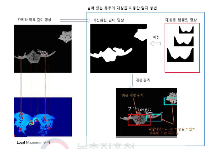 붙어 있는 유두의 매칭을 이용한 탐지 방법