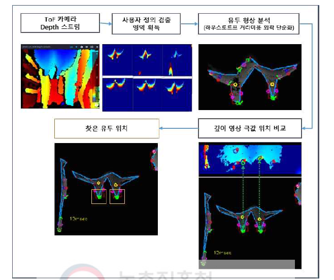 유두의 형상 및 특성을 이용한 유두 끝점 추출 방법