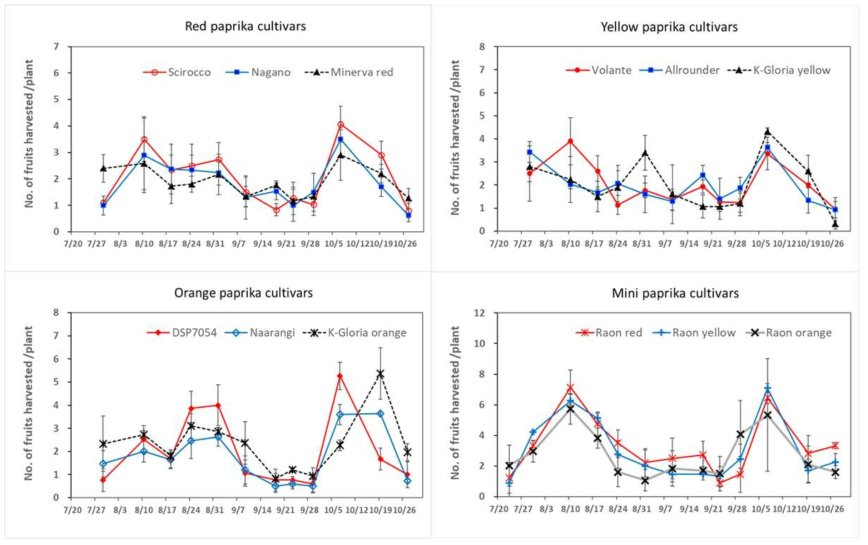 파프리카 품종의 시기별 주당 수확된 과실수 변화