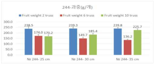 대과종 토마토 ‘244’ 품종의 심는 거리 및 화방별 평균 과중 분포