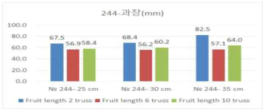 대과종 토마토 ‘244’ 품종의 심는 거리 및 화방별 평균 과장 분포