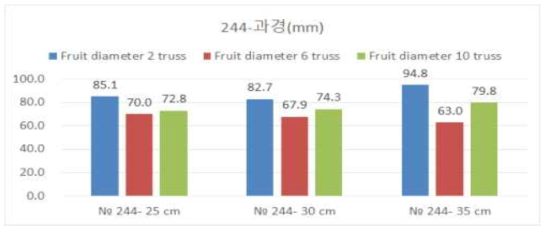 대과종 토마토 ‘244’ 품종의 심는 거리 및 화방별 평균 과경 분포