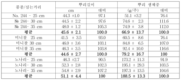 대과종 토마토 및 방울토마토의 심는거리별 뿌리 길이, 뿌리무게 분포