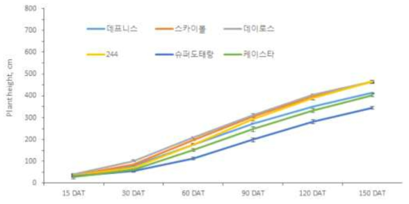 대과종 토마토 품종별 생육시기별 초장 변화