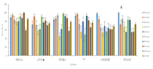 대과종 토마토 품종들의 품종별, 화방별 착과율 비교