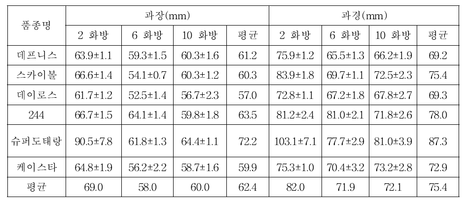 대과종 토마토 품종 및 화방별 과장, 과경 분포