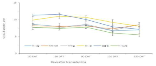 방울토마토 품종 및 생육시기별 줄기직경 변화