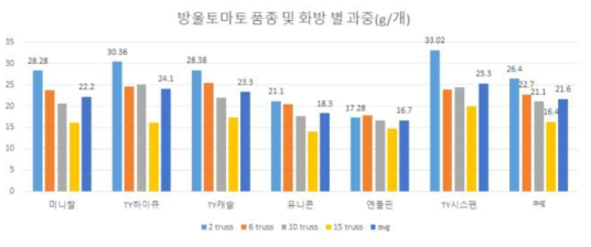 방울토마토 품종의 품종 및 화방별 과중 분포