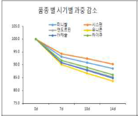 방울토마토 품종별 과중 감소 변화 * 처리시작 2020. 10.5, 처리종료 10.19, 실온