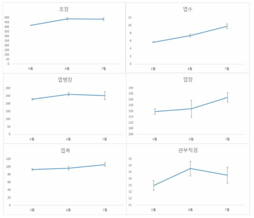 3월 정식 시 월별 생육 특성 변화