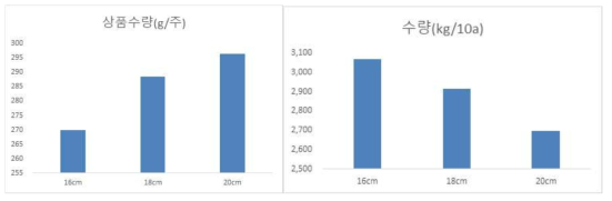 7월 정식 시 재식거리에 따른 수량 특성