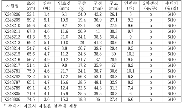 보유자원의 원예적 형질 조사