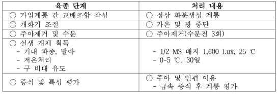 마늘 교잡 육종의 단계 별 처리 내용