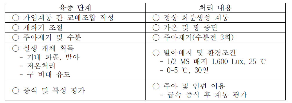 마늘 교잡 육종의 단계 별 처리 내용