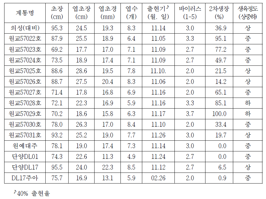 마늘 계통별 생육특성