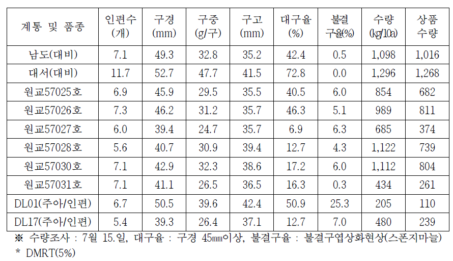 시험계통의 수량특성(무안)