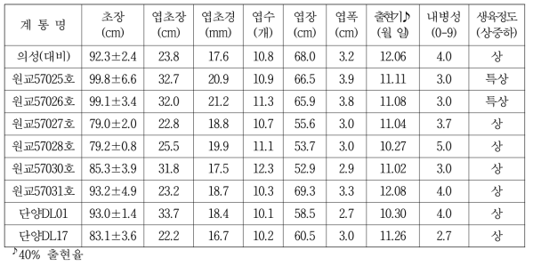 마늘 계통별 생육특성