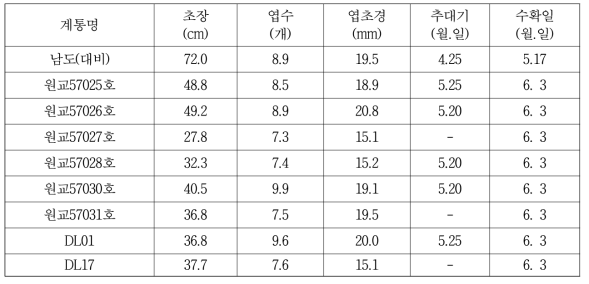 시험계통별 주요 생육특성