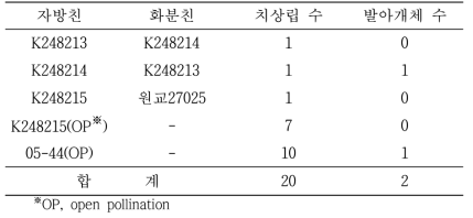 2019년 교배 조합 및 채종량