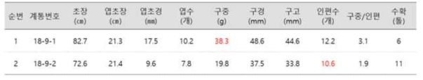 2018년 교배 실생 3년차(‘21) 특성조사