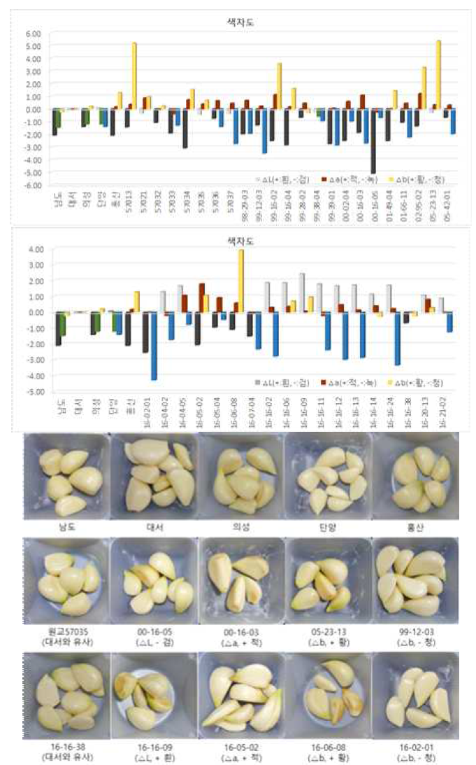 육성계통의 깐마늘 표피 색차도 비교분석
