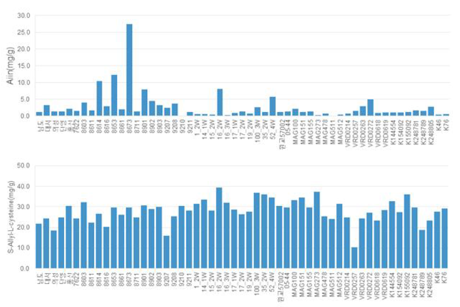 육성계통의 Alliin 및 S-Allyl-L-cystein 성분 비교 분석