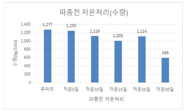 파종전 저온처리가 수량에 미치는 영향