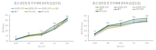 홍산 품종 종구 갱신을 위한 생장점 및 주아재배의 생육특성 비교