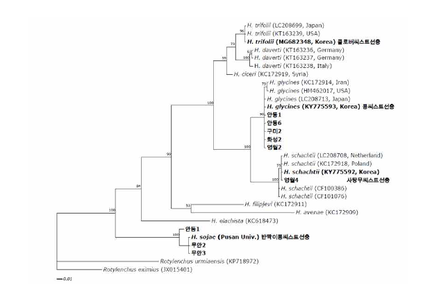 전국 배추 주산지에서 검출된 씨스트선충류의 분자생물학적 계통도