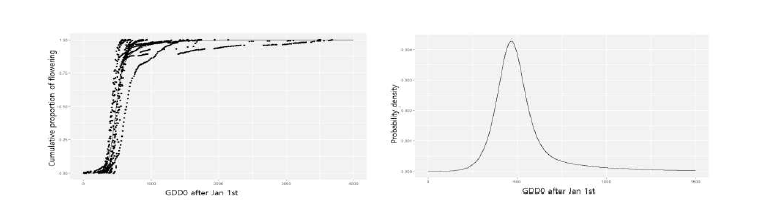 서양민들레 개화의 유효적산온도에 따른 누적분포함수(좌)와 확률밀도함수(우)