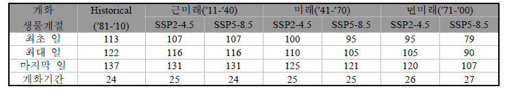 철원지역에서 SSP 시나리오에 따른 서양민들레 개화시기 및 개화기간