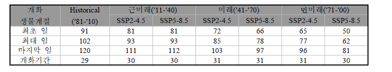 해남지역에서 SSP 시나리오에 따른 서양민들레 개화시기 및 개화기간