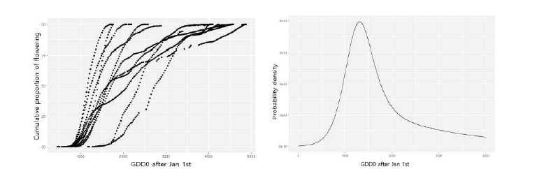 서양금혼초 개화의 유효적산온도에 따른 누적분포함수(좌)와 확률밀도함수(우)