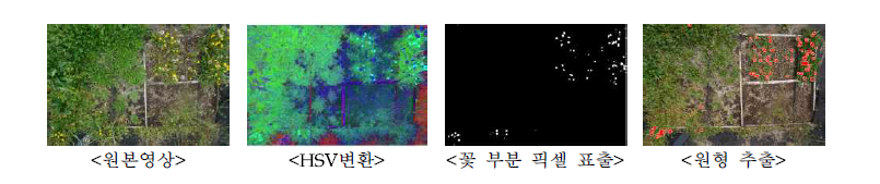 서양민들레 꽃 자동인식 단계별 결과