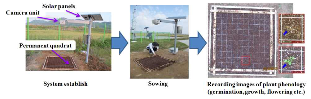 초본류 무인관측시스템 및 자료 수집 절차