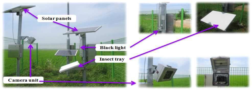 곤충류 무인관측시스템 및 자료 수집 절차