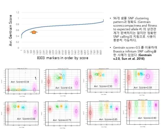 국내 감자 집단내 Gentrain score 값 분포